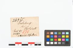 Etikett zu Bronzegürtelhaken (NHMW-PRAE-026315)